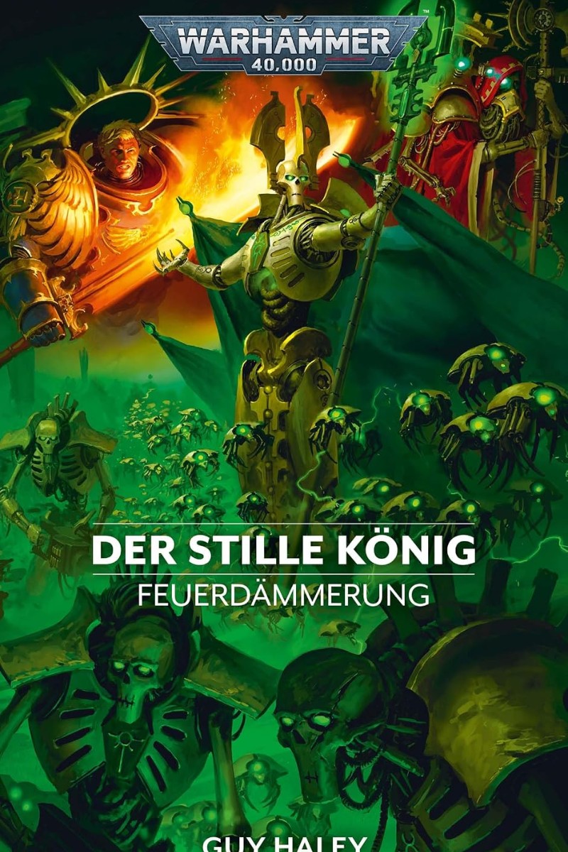 Buchcover: Der Stille König